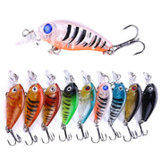 9 Pcs Fishing Lures Crank Baits for Bass, Trout, Salmon, Steelhead,  Walleye, Pike, Perch, Panfish, Carp and Crappie - 1.77in/0.141oz