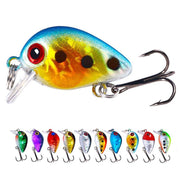 10 Pcs Fishing Lures Crank Baits for Bass, Trout, Salmon, Steelhead,  Walleye, Pike, Perch, Panfish, Carp and Crappie - 1.18in/0.0529oz